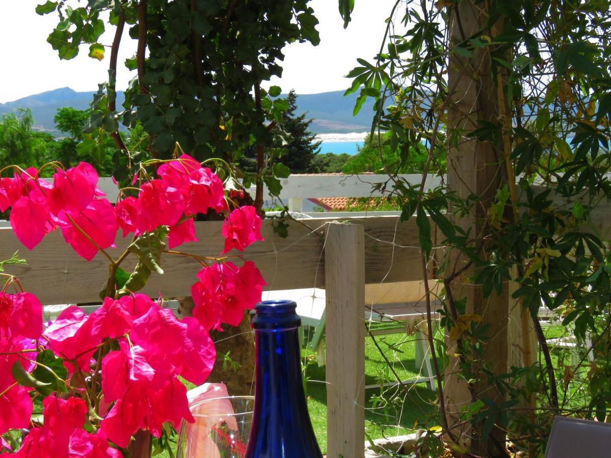 Panohome * Porto Pino